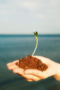 small sprout in the hands over the water and blue sky