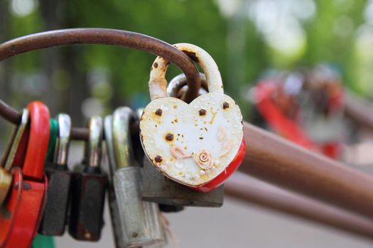 different padlocks on the iron tree desires