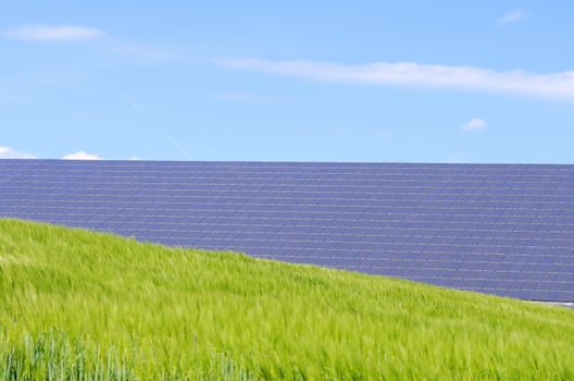 solar panels and green field