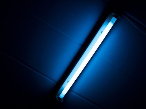 Detail of a fluorescent tube mounted on a wall, false green color light