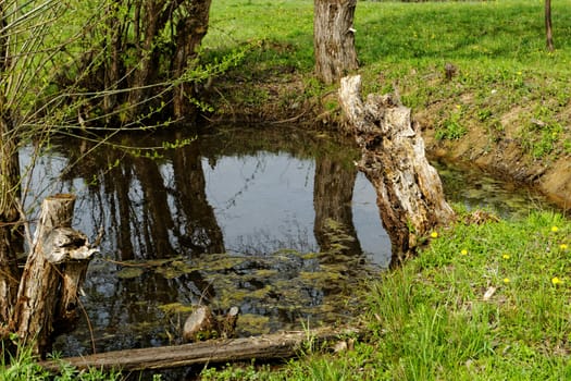 small lake in middle of the meadow