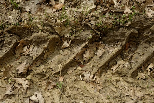 tractor tire tracks in the mud