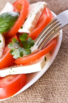 Salad with tomatoes and cheese on the plate