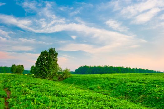 bright sky at sunrise on a green hilly meadow