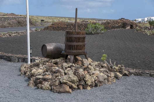 wine barrels exposure for people to see