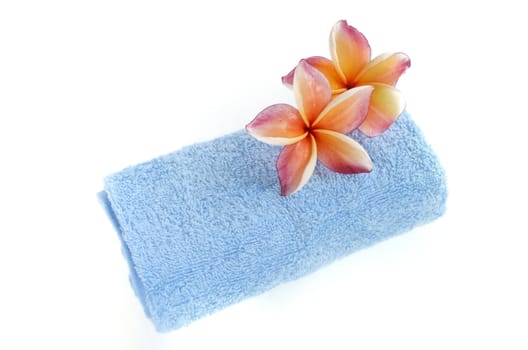 blue towel and plumeria flowers isolated on white