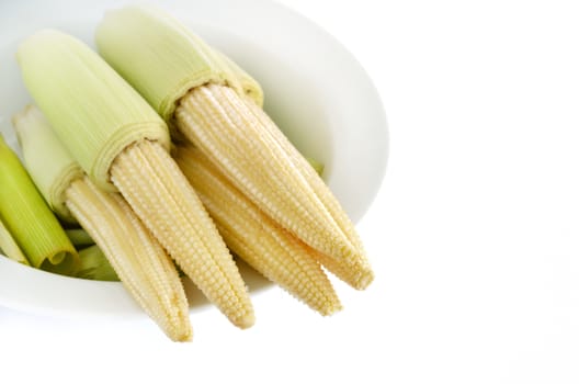 Baby corn in bowl, isolated white background