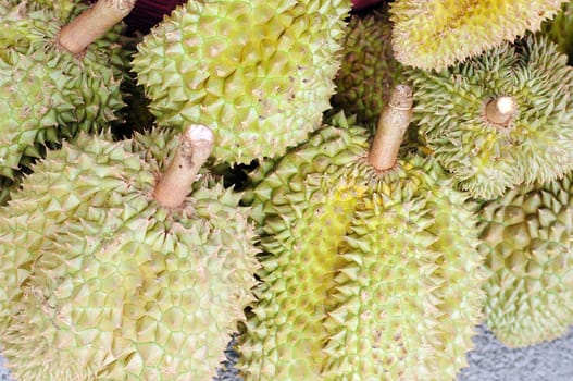 Fresh durian fruits in Thailand 