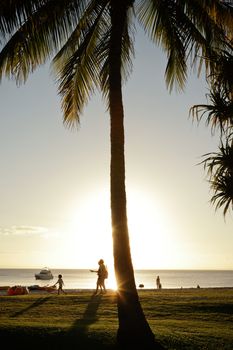 People walking outdoor with sunset and coconut palm tree