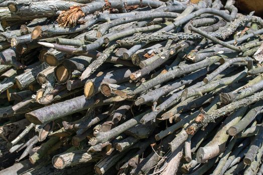 woodpile - stacked beech timber logs, fuel for fire
