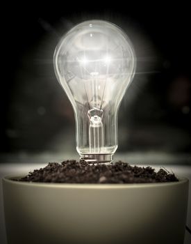 A light bulb in pot with soil