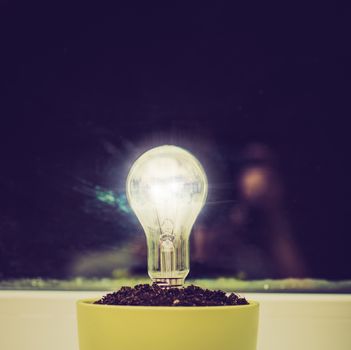 A light bulb in pot with soil