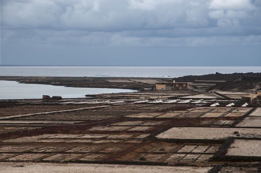 the salt of Lanzarote which collects sea salt