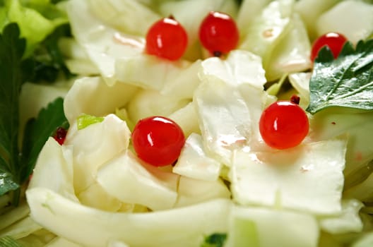 Spring  fresh 	farm-style vegetables salad of cabbage
