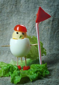  child breakfast.	soldiermade from eggs, small radish,tomato