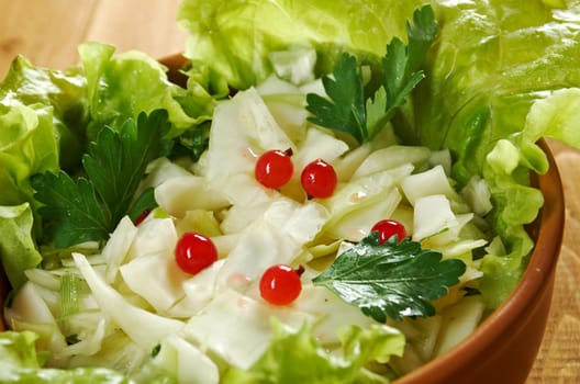 Spring  fresh 	farm-style vegetables salad of cabbage
