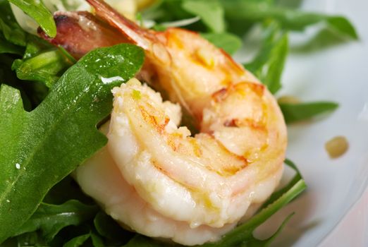 arugula salad with prawn on plate closeup