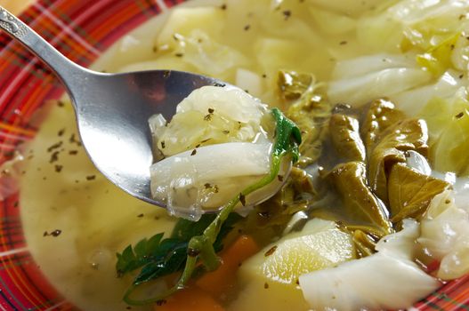  Russian national cabbage soup - Green sorrel   stchi  with nettles and rhubarb