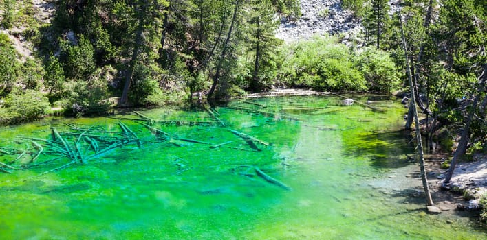 Bardonecchia, Italy. The Green Lake, Alpine lake with fluo color due to a local seaweed