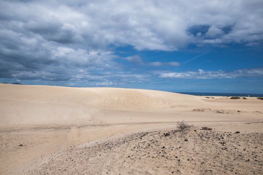 Fuerteventura dunes which shows that it's like being in a desert