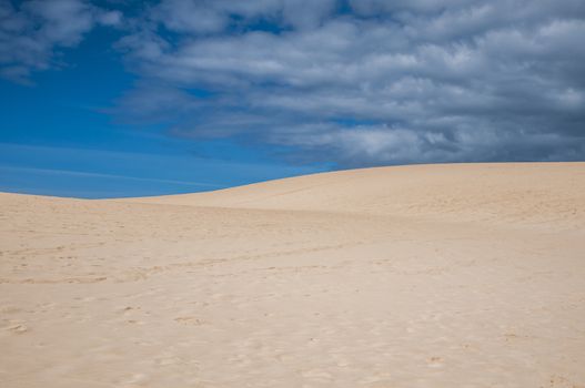 Fuerteventura dunes which shows that it's like being in a desert