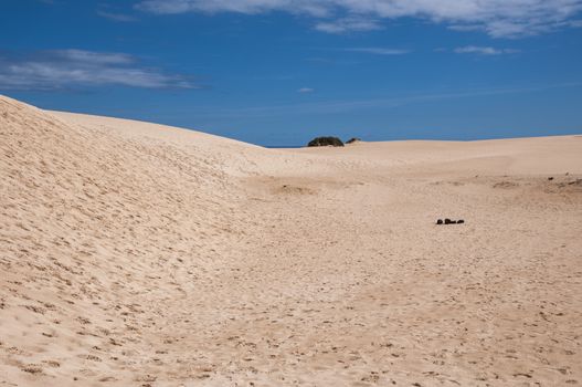 Fuerteventura dunes which shows that it's like being in a desert