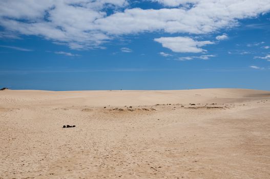 Fuerteventura dunes which shows that it's like being in a desert