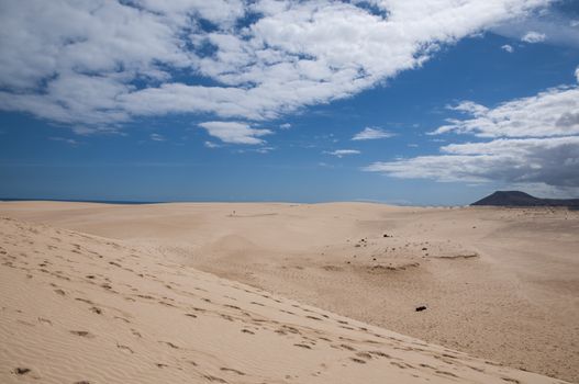 Fuerteventura dunes which shows that it's like being in a desert