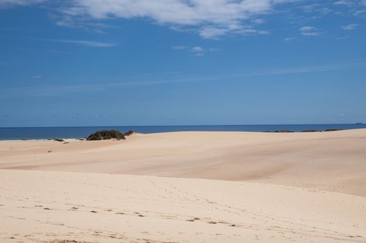 Fuerteventura dunes which shows that it's like being in a desert