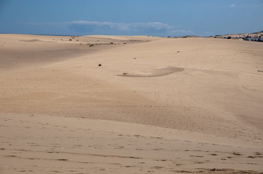 Fuerteventura dunes which shows that it's like being in a desert