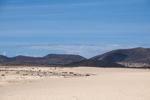 Fuerteventura dunes which shows that it's like being in a desert