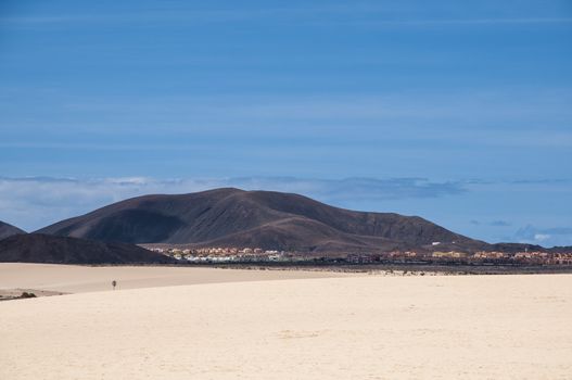 Fuerteventura dunes which shows that it's like being in a desert