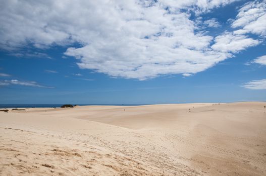 Fuerteventura dunes which shows that it's like being in a desert