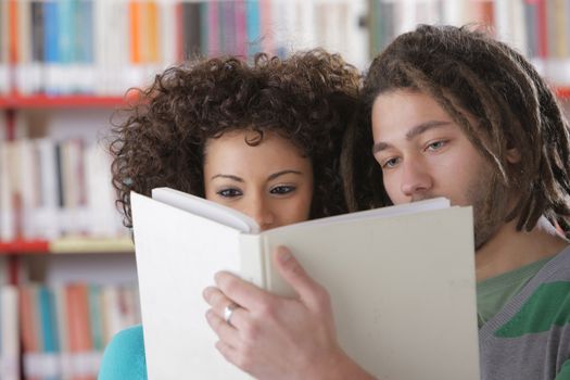Two students learning together indoors in library
