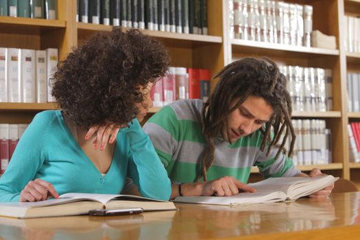 Two students learning together indoors in library