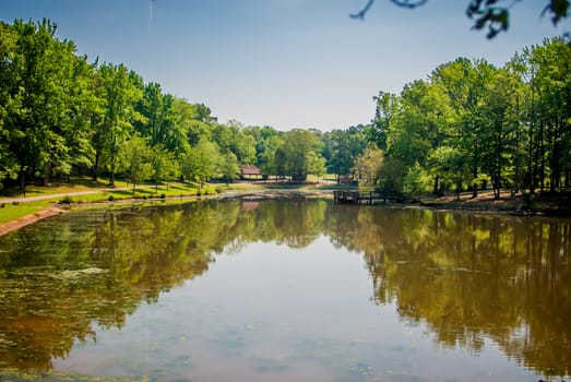 beautiful day at a city park lake