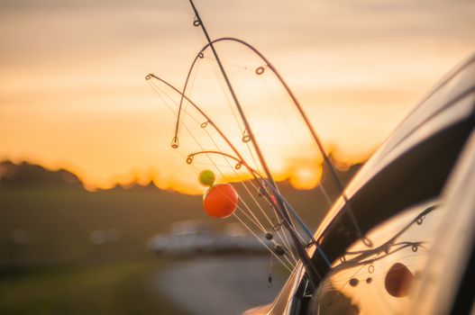 fishing rods sticking out from window of a vehicle