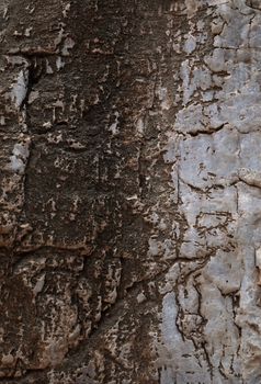 Image texture of natural stone. Background.