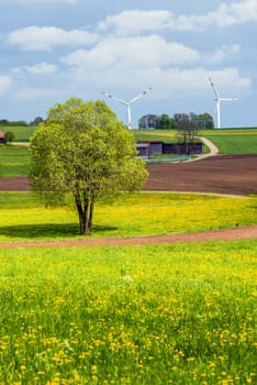 wind wheel in a rural environment