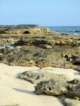 Rocky beach off of the Atlantic Ocean in the Caribbean