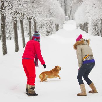 two women walk by winter alley snow trees on background