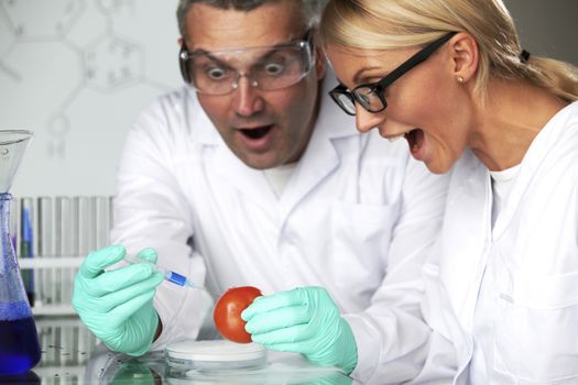 manand woman try to change tomato DNA