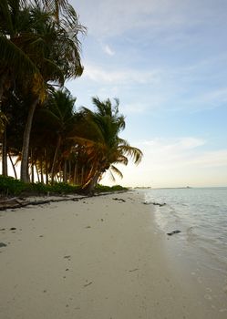 A beautiful empty beach in tropical destination