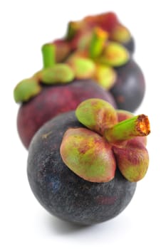 Mangosteen