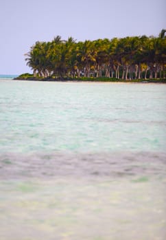 Tropical island in the Bahamas
