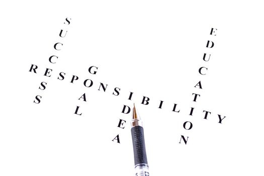 A conceptual look at responsibility, goal, idea, education