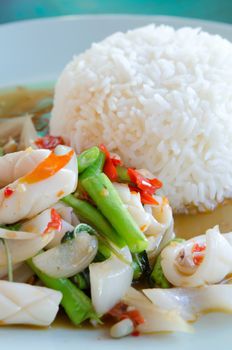 close up  squid  fried with chili pepper ,  mix vegetable served with  rice 