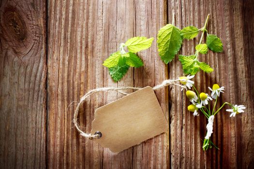 Fresh mint and chamomile with a tag on a rustic table with late day sunlight