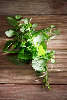 Fresh mint bunch on a rustic table in late day sunlight