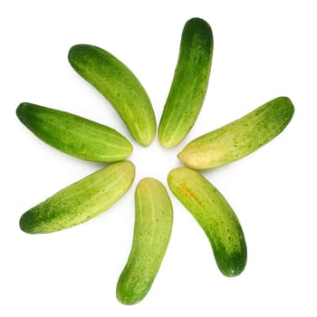 Cucumber